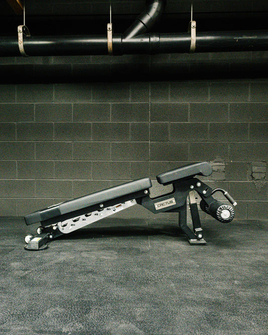 CACTUS INCLINE & DECLINE ADJUSTABLE BENCH